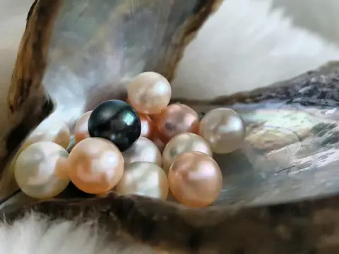 cultured pearls