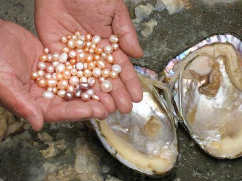 natural pearls